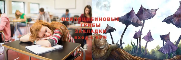 трава Верея