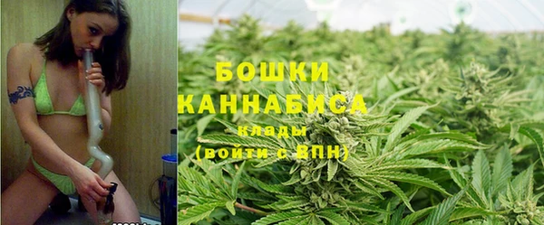 трава Верея