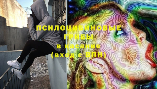 трава Верея